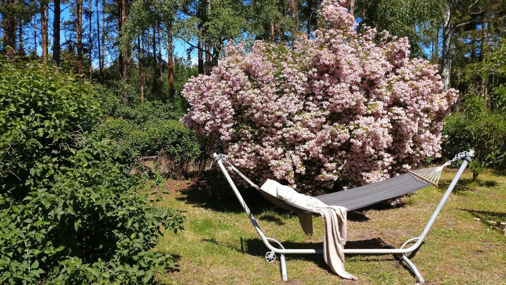 Oesterlencharm Löderup Екстериор снимка
